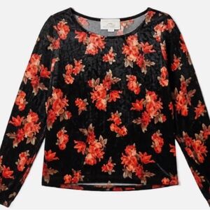 Paris Hilton Iconic Velvet Crop Top - Y2K Glam Blue/Purple - Size L ✨💜